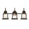 Westinghouse Fixture Wall 60W 3-Light Cindy ORB Barnwood Accents Clear Seeded Glass 6118200 - alternate 1